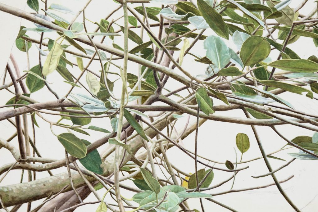 exhibition at fondation beyeler