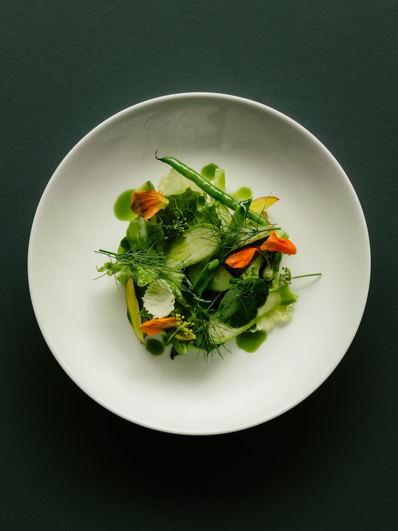 plate with green salad, restaurant remi