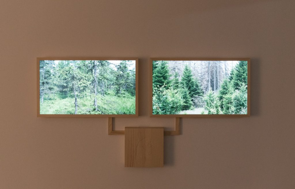 ai generated forests by andreas greiner, installation view