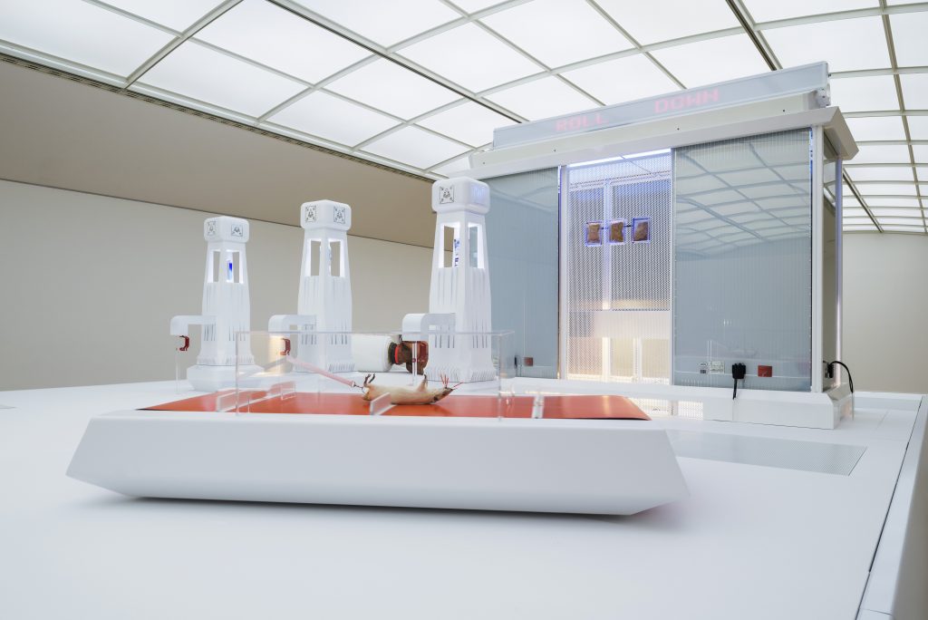 Jonas Roßmeißl, Gallery Weekend Berlin