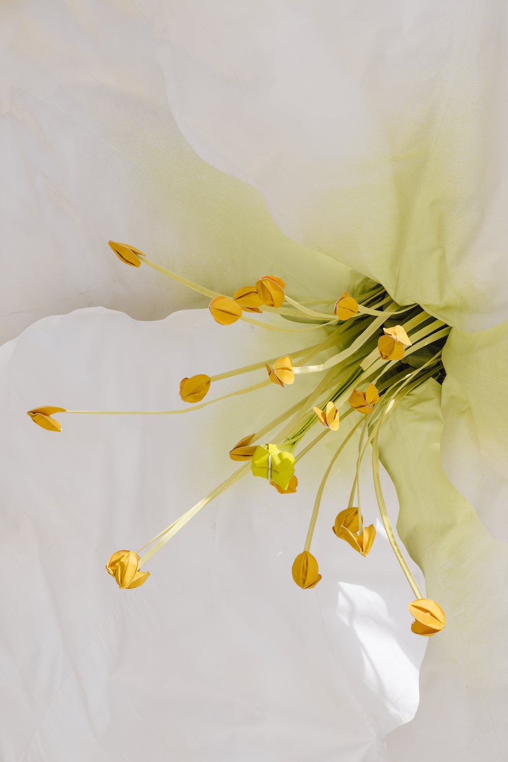 Petrit Halilaj Alvaro Urbano